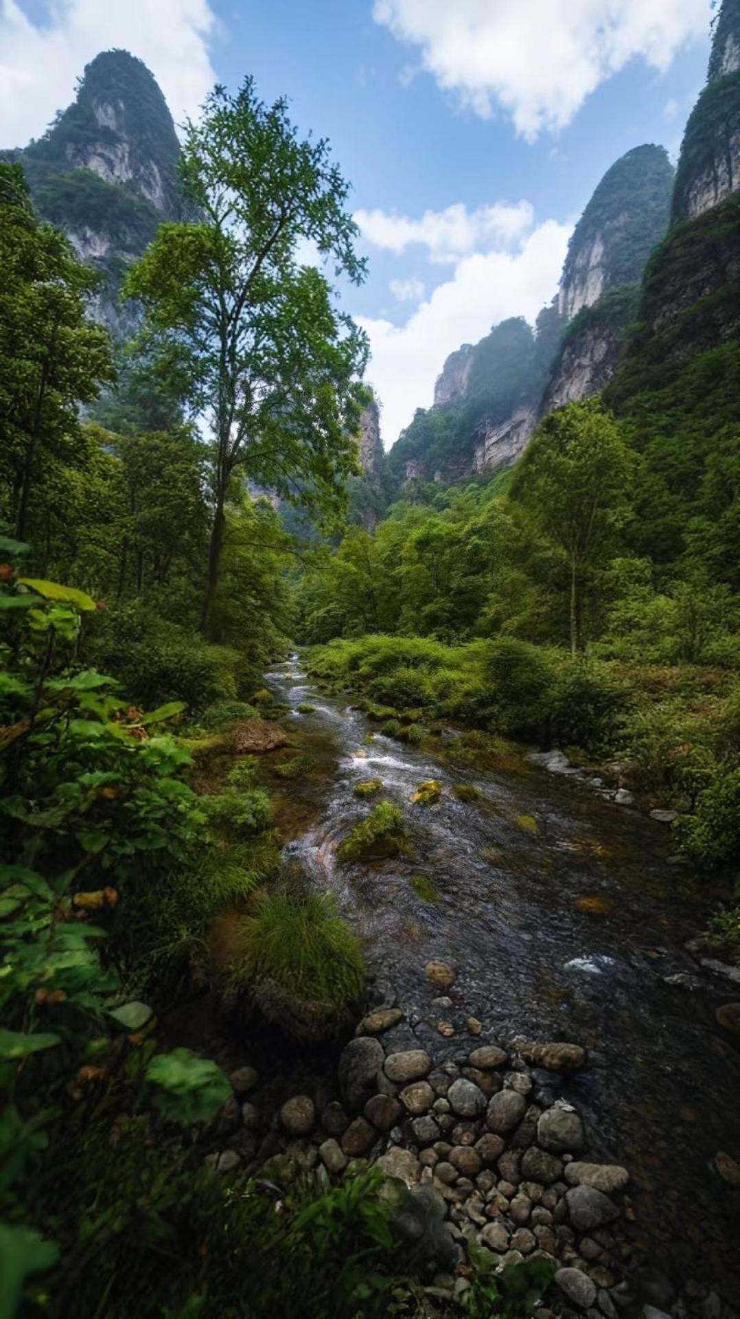 Zhangjiajie One Art Guesthouse Екстериор снимка